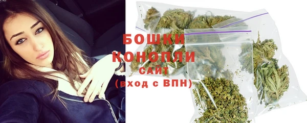 шишки Ельня