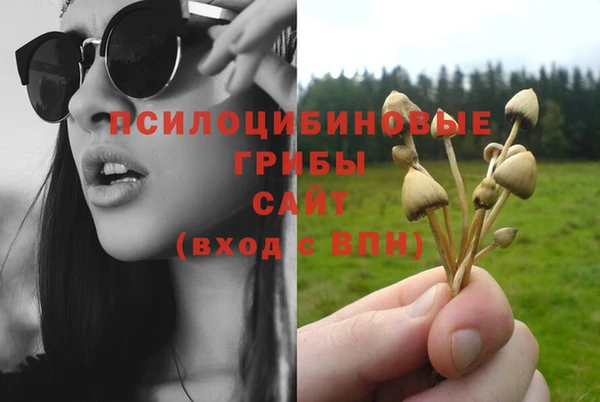 MDMA Елизово