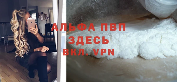 шишки Ельня