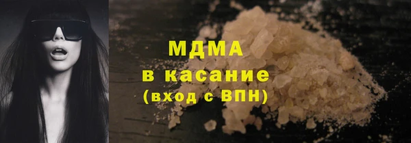 шишки Ельня