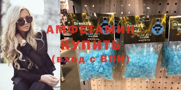 шишки Ельня