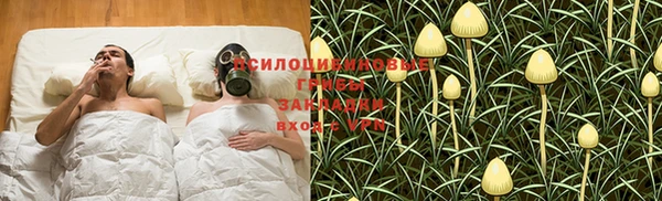 шишки Ельня