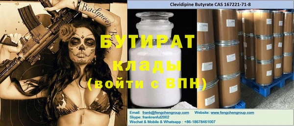 шишки Ельня