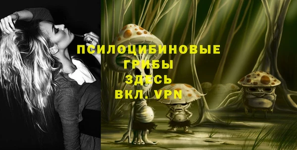 шишки Ельня