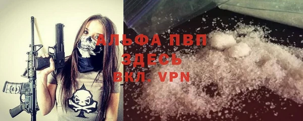 шишки Ельня