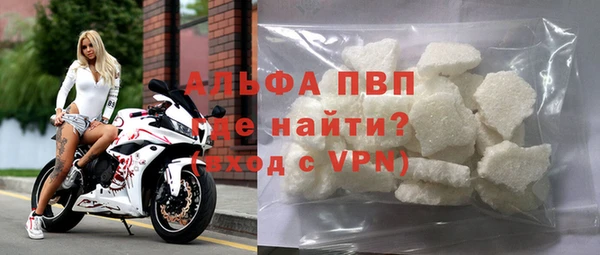 шишки Ельня