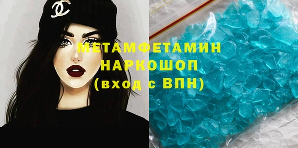 шишки Ельня