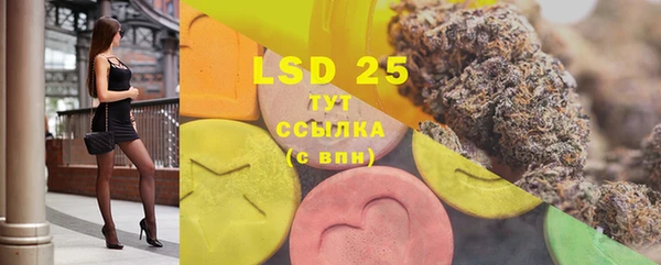 шишки Ельня