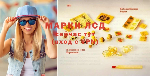 шишки Ельня