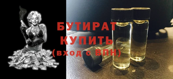 шишки Ельня