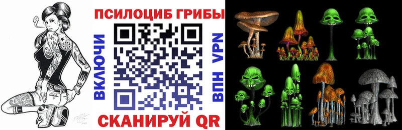 Купить где  Люберцы  Галлюциногенные грибы GOLDEN TEACHER 